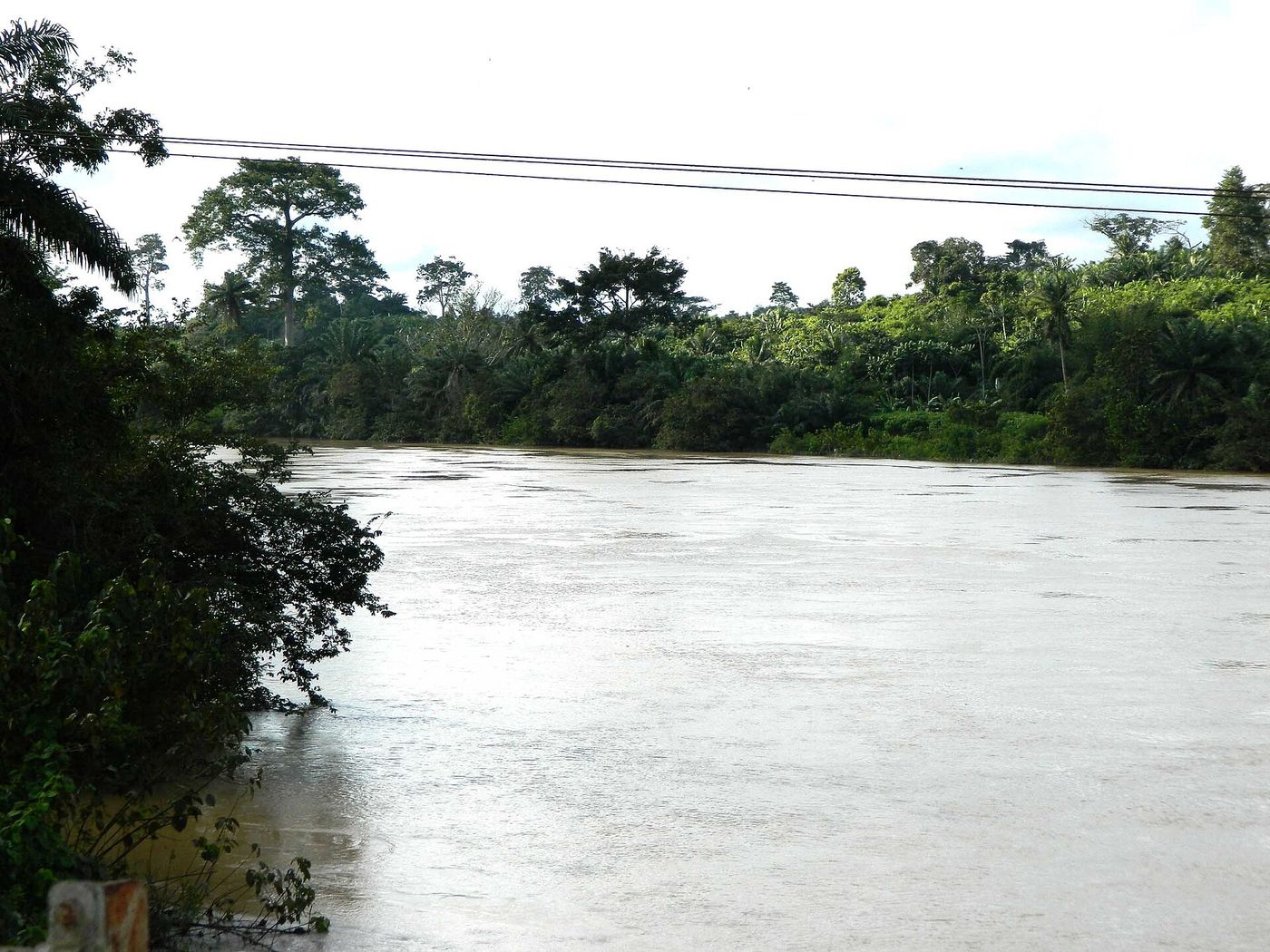 The Pra River near Daboase in southwestern Ghana, where silt from illegal gold mining upstream has turned the water a thick ocher.