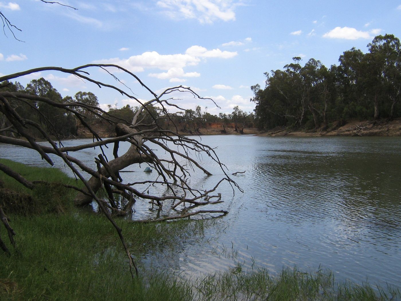 River red gums line the Murray River near Mildura, Victoria, in Australia’s most important irrigation region.