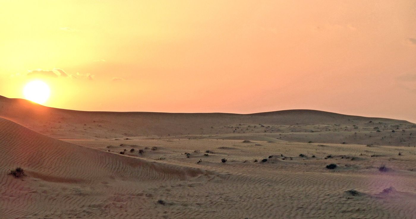 Solar panels in the desert near the Omani coast, where electrolysis plants are being built to turn renewable power into exportable fuel.
