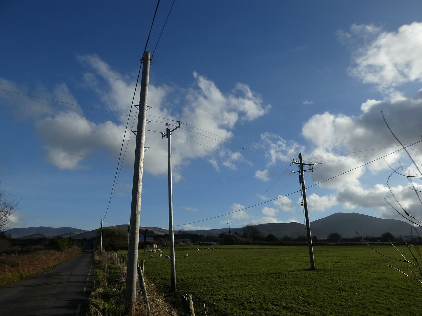 Telephone poles along a rural road in County Mayo. Ireland plans to retire its copper telephone network by 2029.