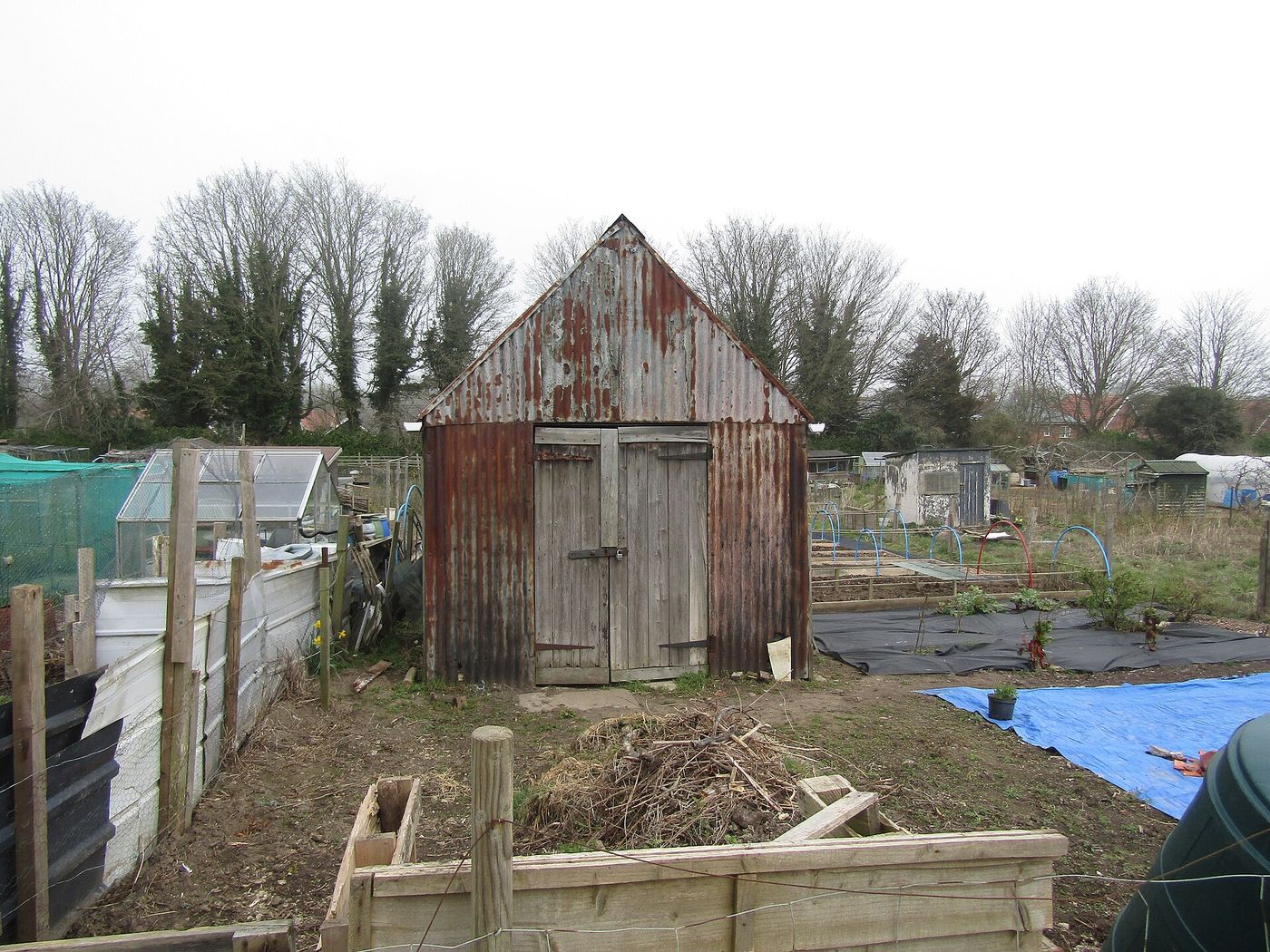 Sheds and vegetable beds on an allotment site in northern England, the kind of place where “The Allotment” is set.