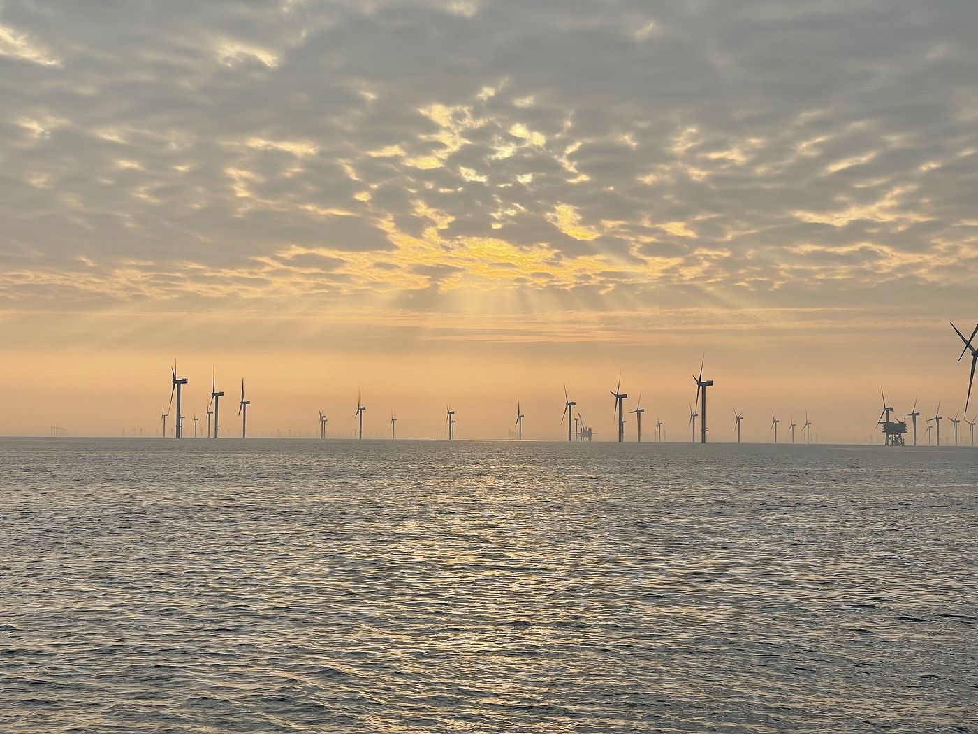 Turbines of an offshore wind park in the German North Sea at dusk.
